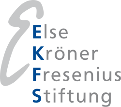 Else Kroener Fresenius Foundation logo